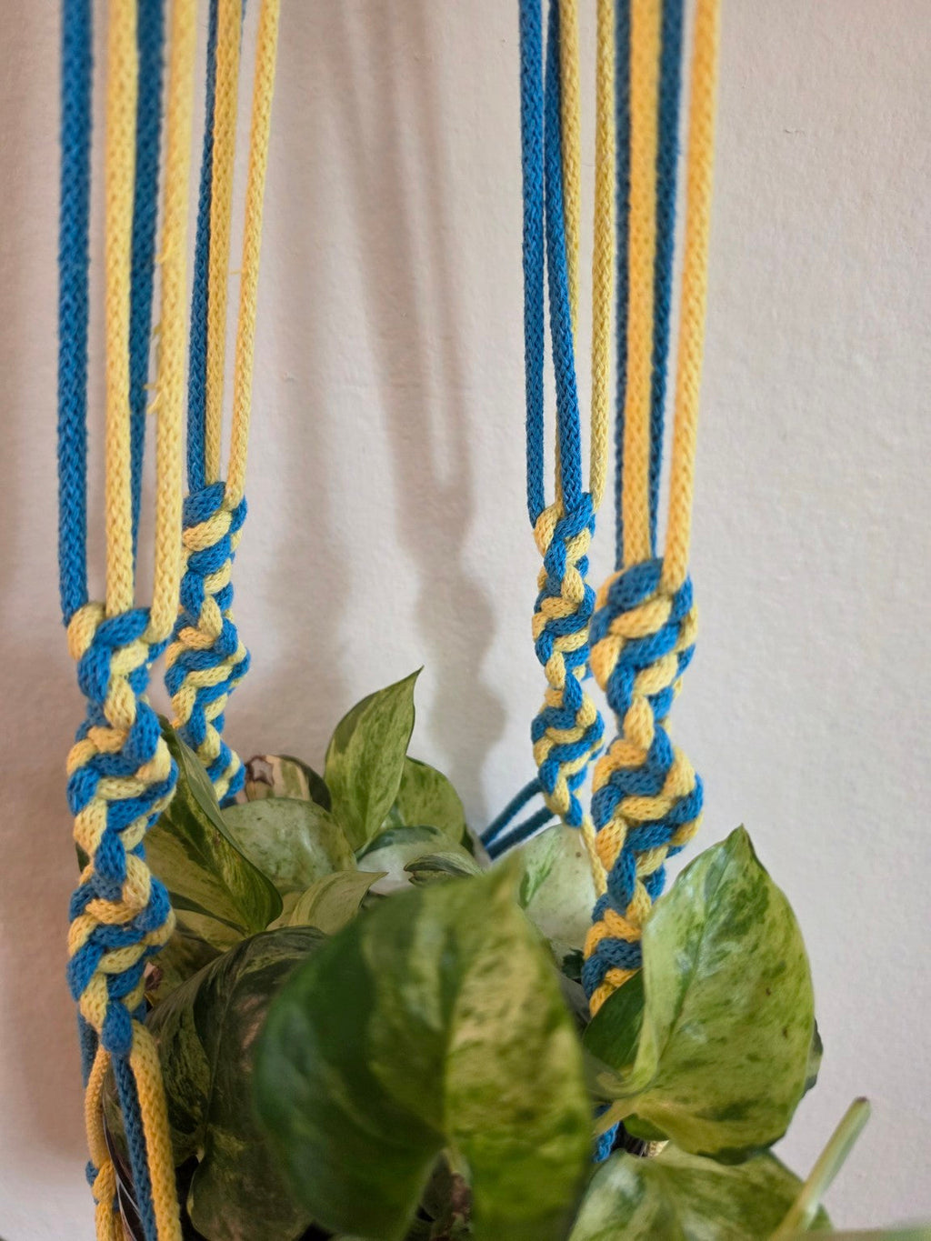Close-up of handmade blue and yellow macrame knots around a potted plant