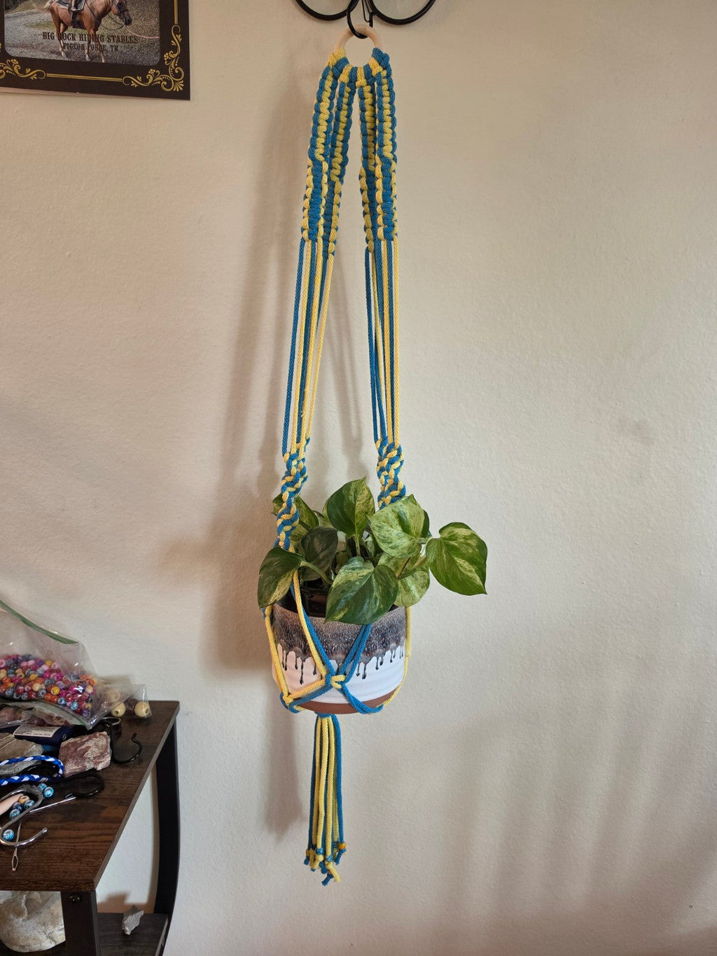 Blue and yellow handmade macrame plant hanger holding a potted houseplant