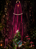 Black and pink handmade macrame plant hanger with bone accents, vertebra, fairy charm and potted plant in an enchanted woodland setting