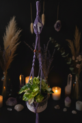 Lavender Macramé Hanger — Witchy Enhanced